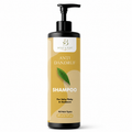 BONT & BINT Anti Dandruff Shampoo for Itchy & Flaky Scalp, Cleansing Formula for Freshness, Smoothness & Scalp Care, Daily Use for All Hair Types, 200ml